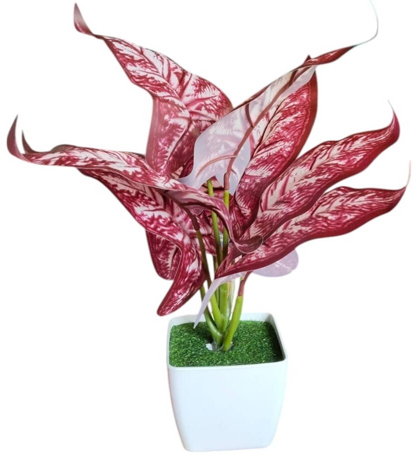 buy monstera Buy Wholesale Large Monstera Leaves Tropical Greenery in Bulk