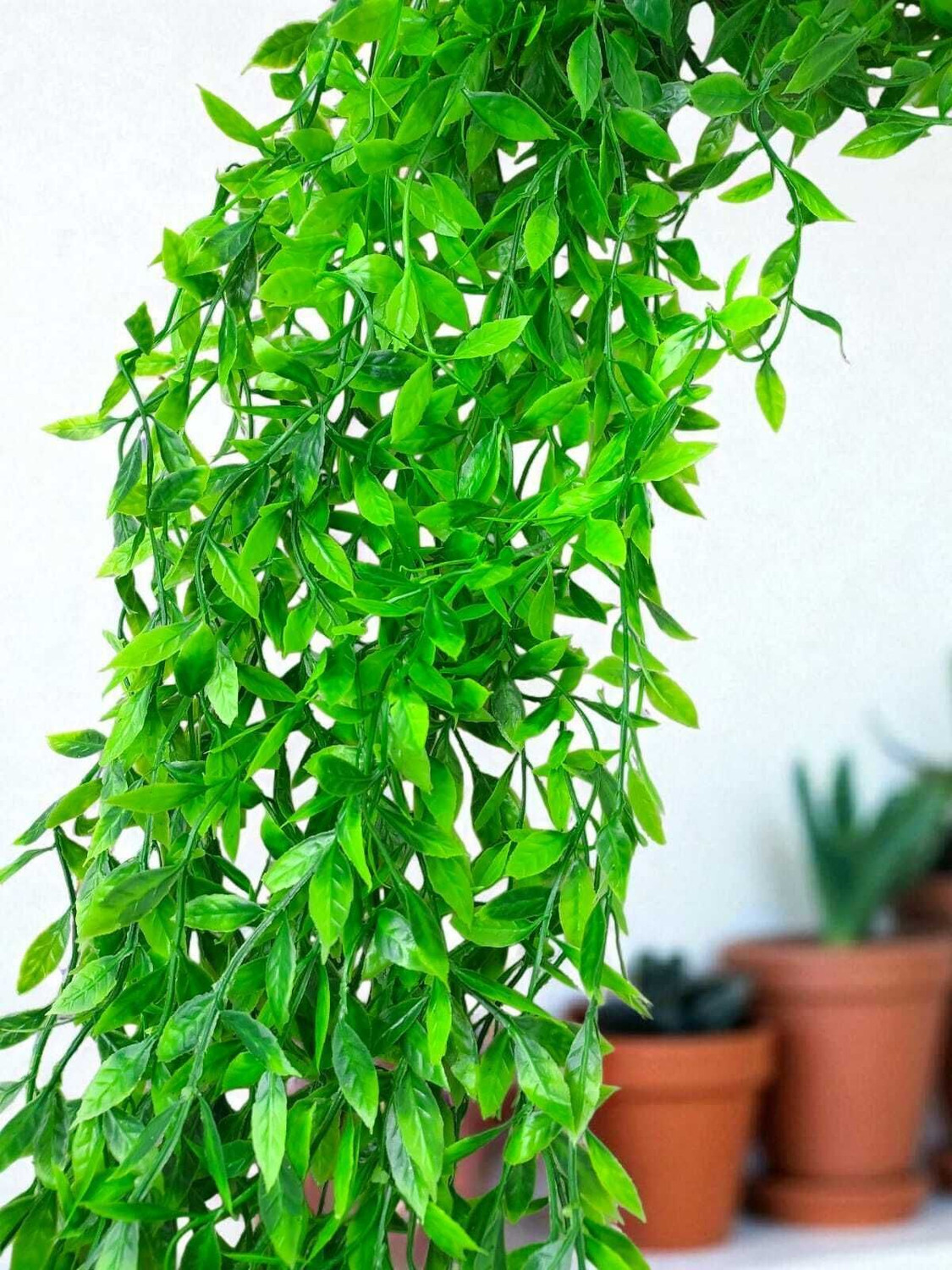 Image of S&P Vibes High-Quality Artificial Hanging Creeper /Vine Plant- Green Leafy Vine Artificial Plant (100 cm, Green)