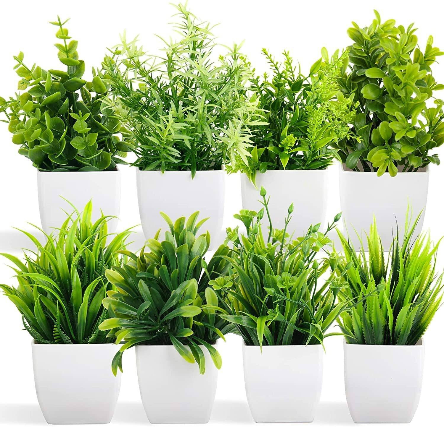 Litleo Pack of 8 All Design Greenery for home office gift Bonsai