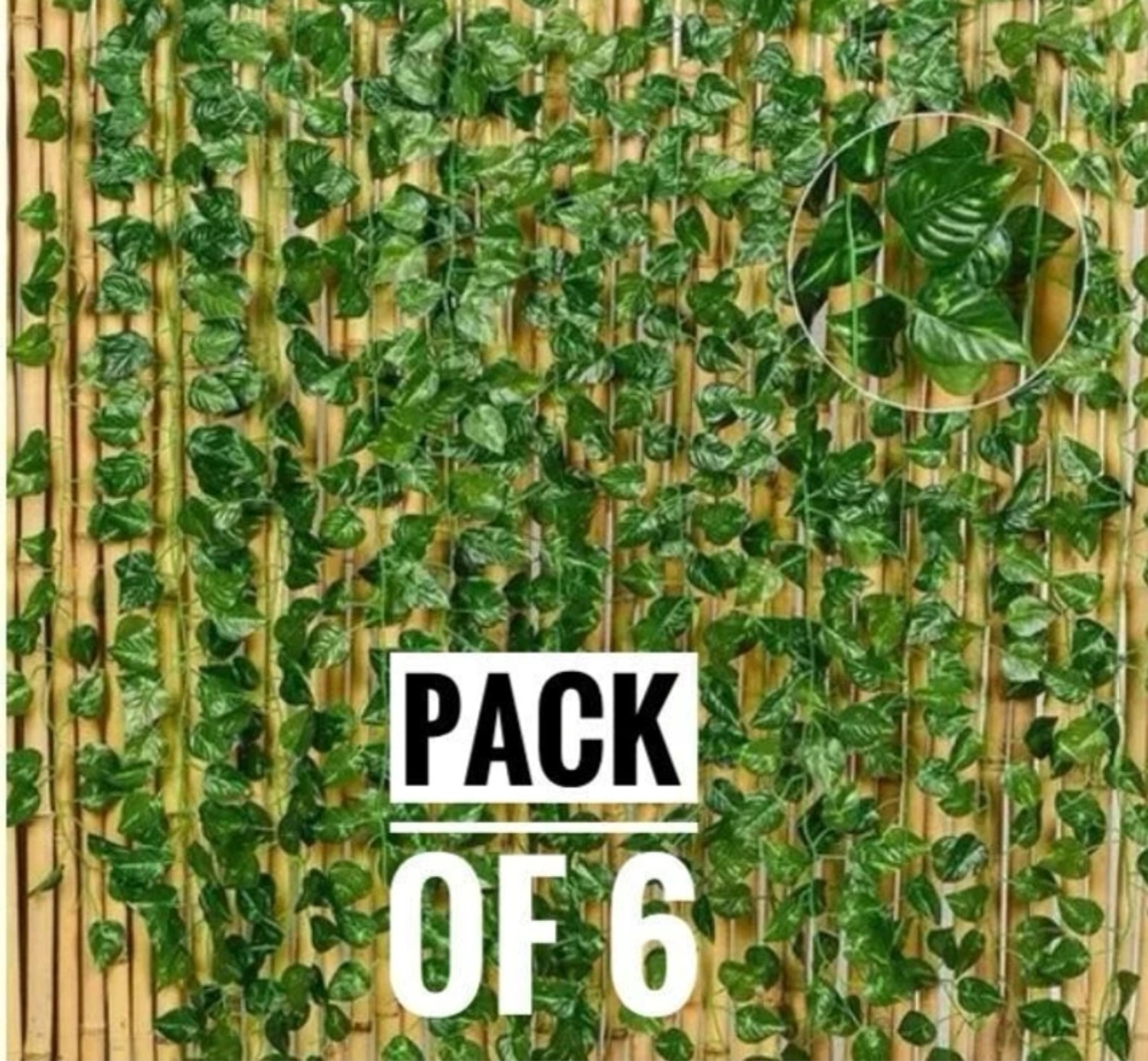 Image of firstbuy Set of 6 MONEY PLANT CREEPER FOR WALL, GARDEN DECORATION Pack of 6