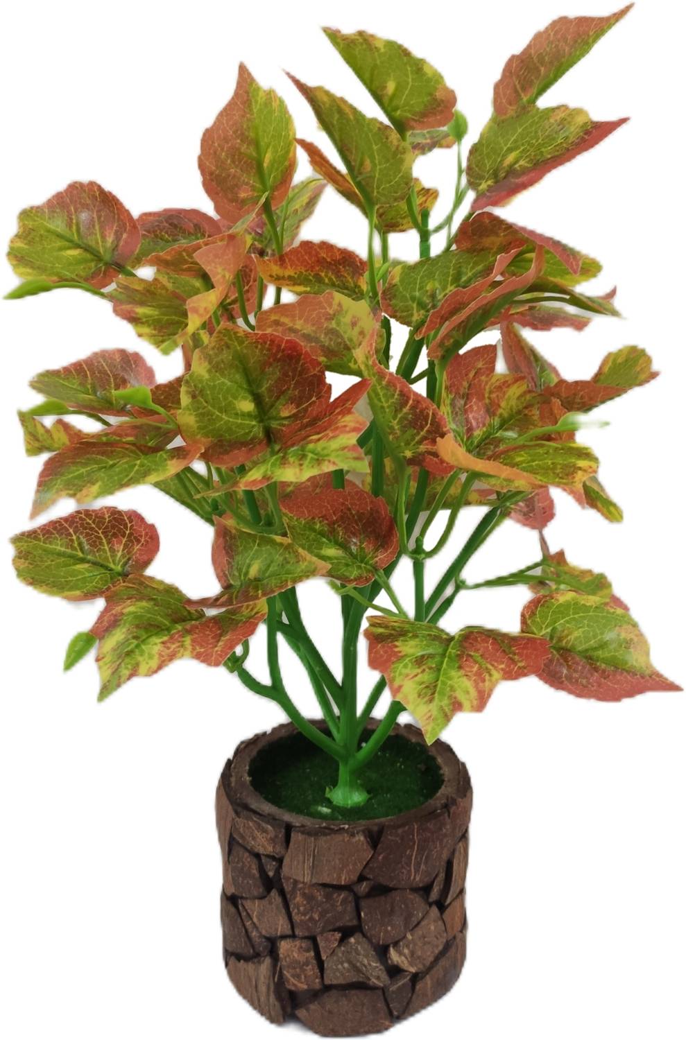 BAARIG Natural Money Plant with Stylish Coconut Pot Artificial Pl