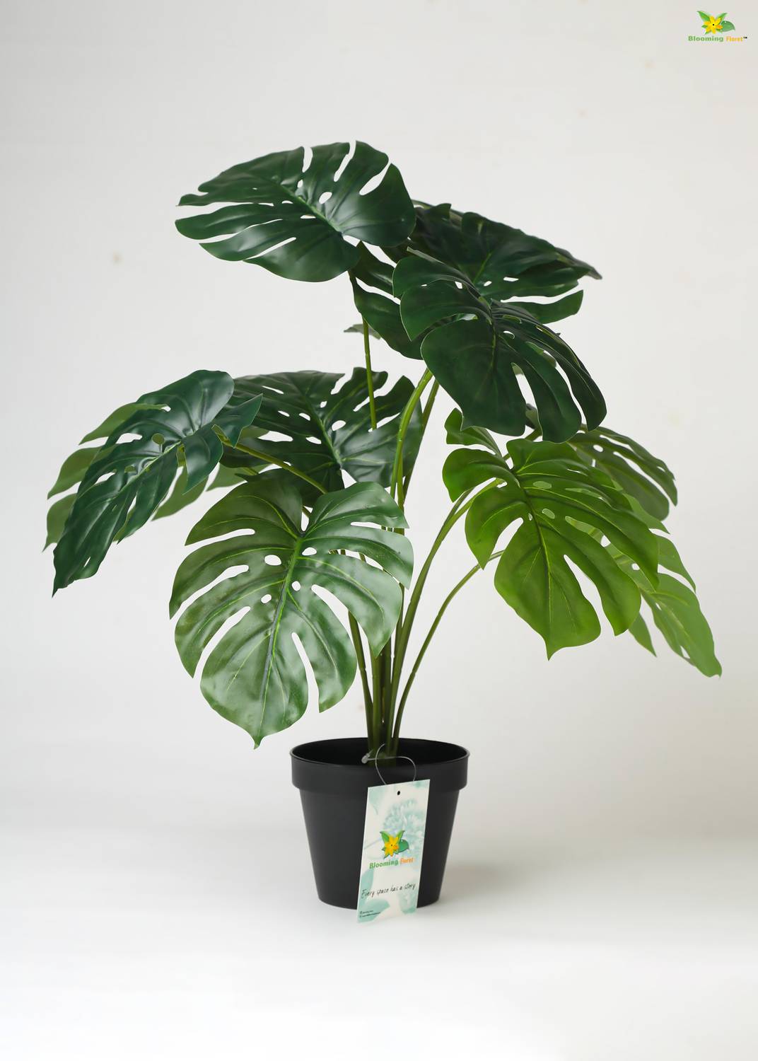blooming floret Artificial Monstera Plant With Pot 12 Leaves