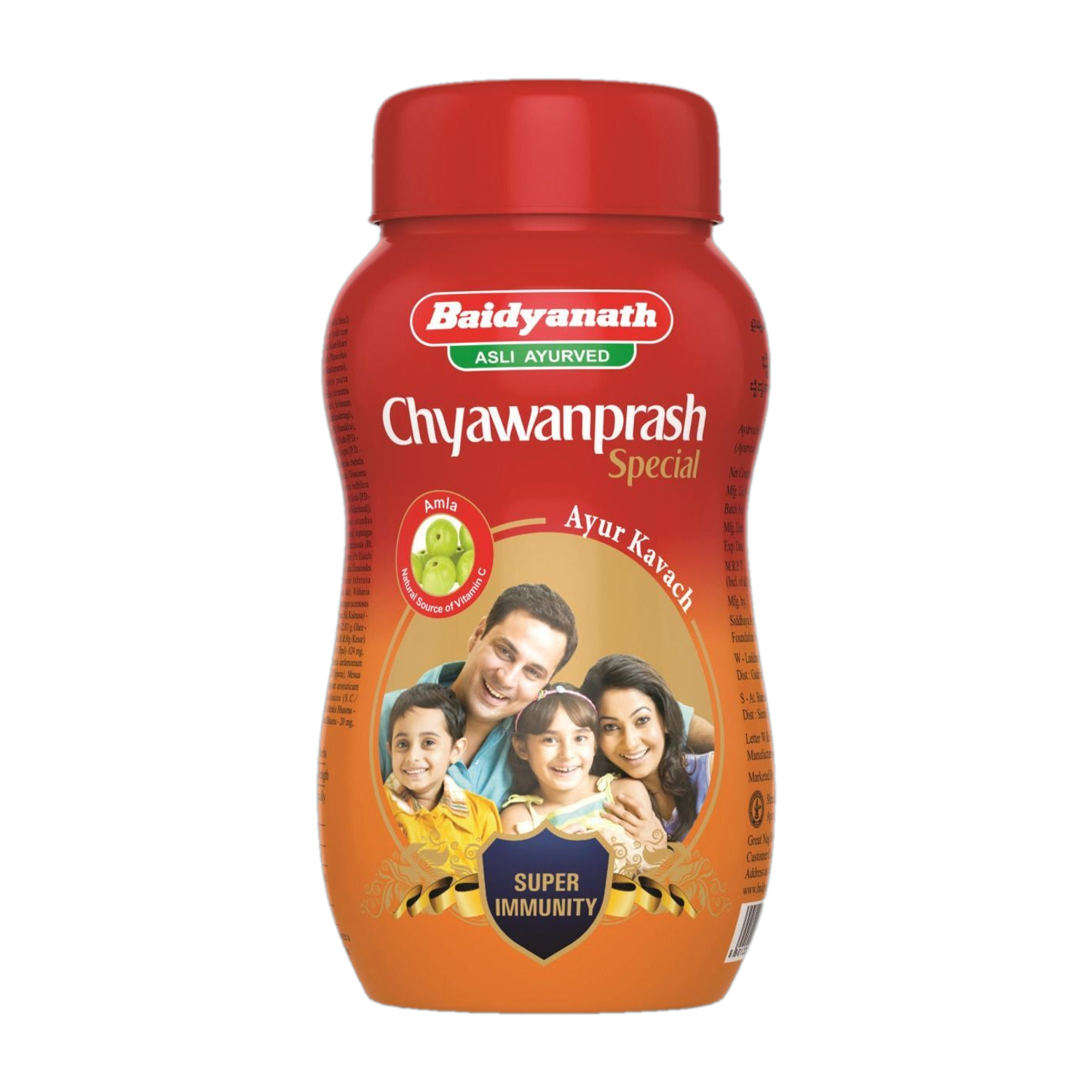 Baidyanath Chyawanprash Special - All Round Immunity and Protection - 250g