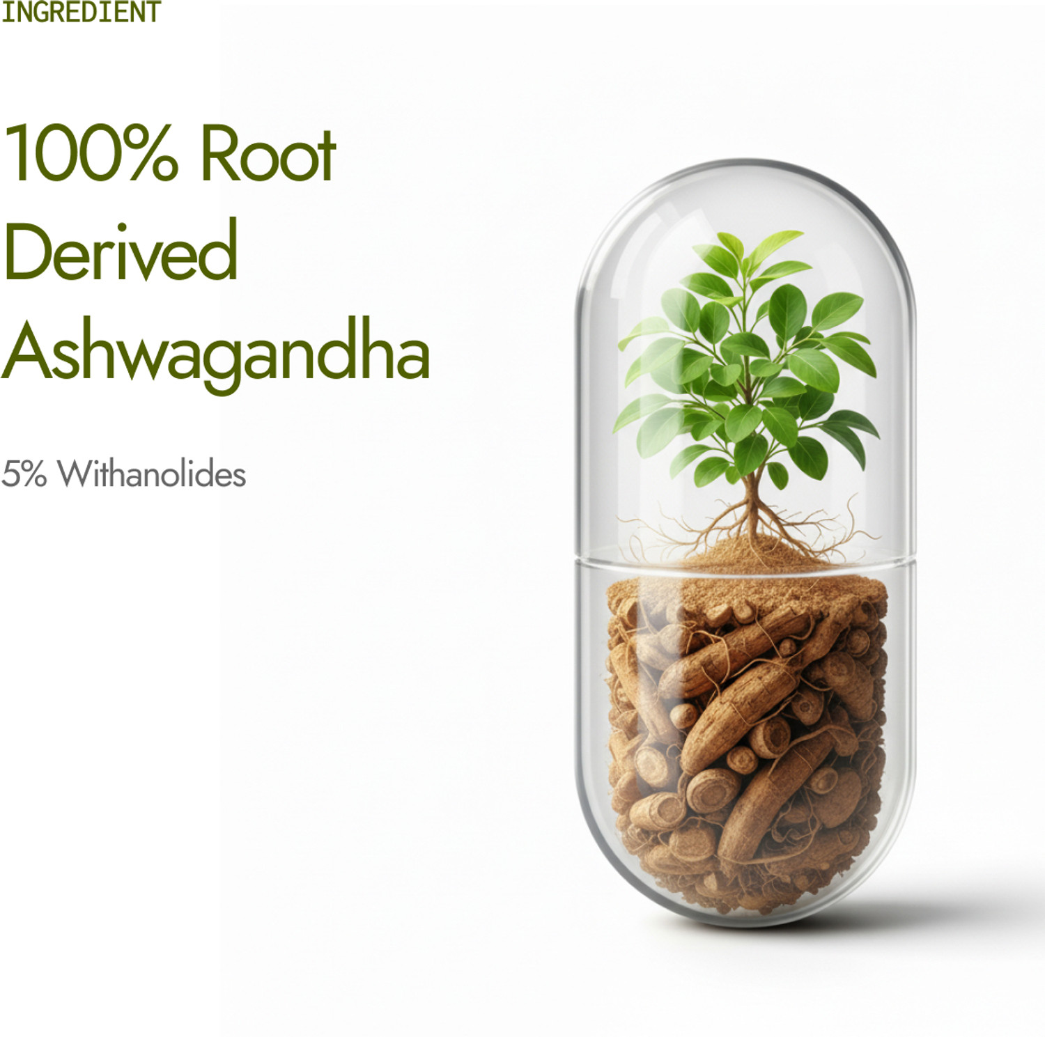 Image of Kapiva Ashwagandha 250 mg Tablet, 5% Withanolides, 100% Root Derived, Stress Reliever