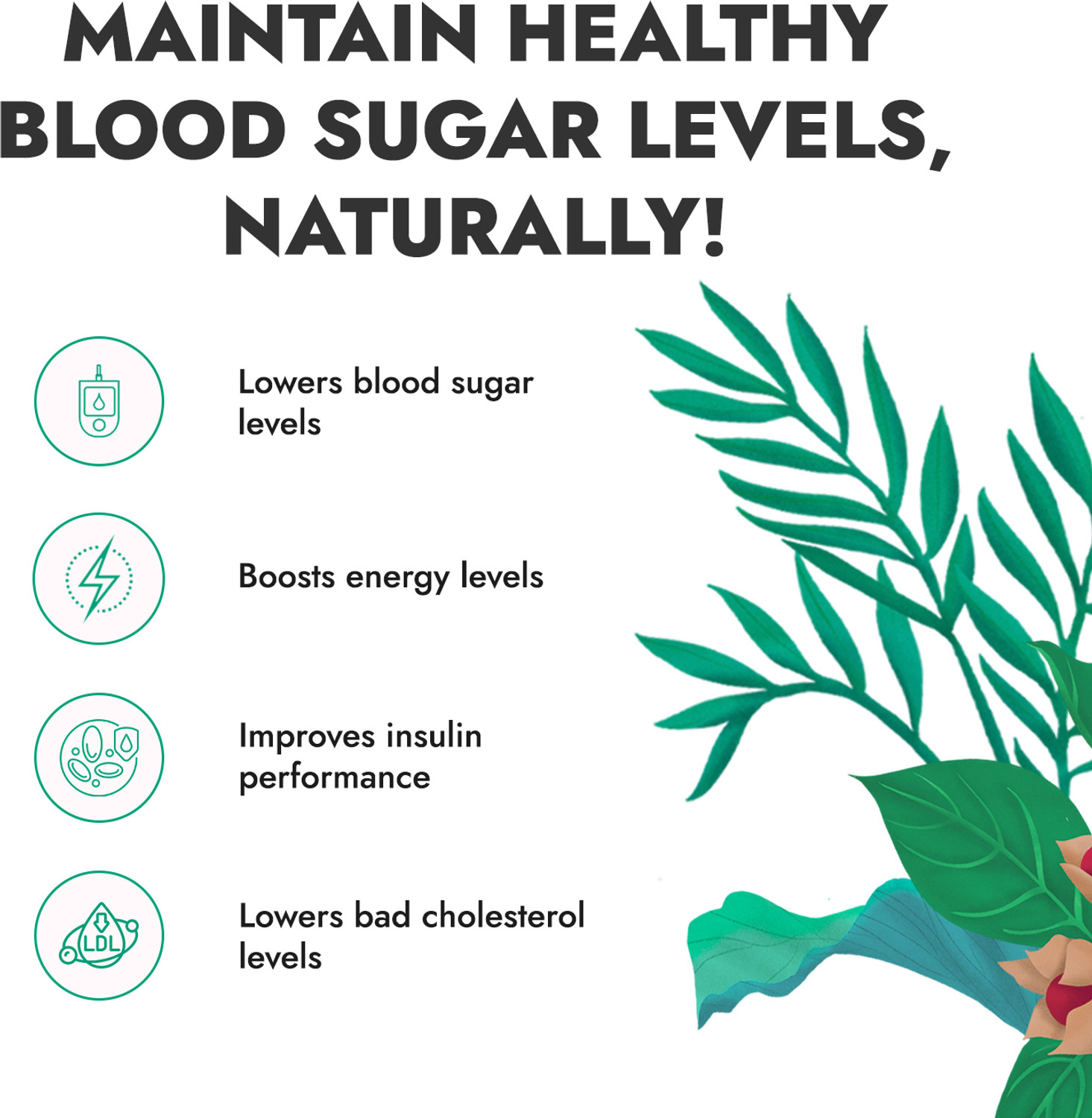 Image of Kapiva Karela Jamun Juice + Amla Juice | Power Combo