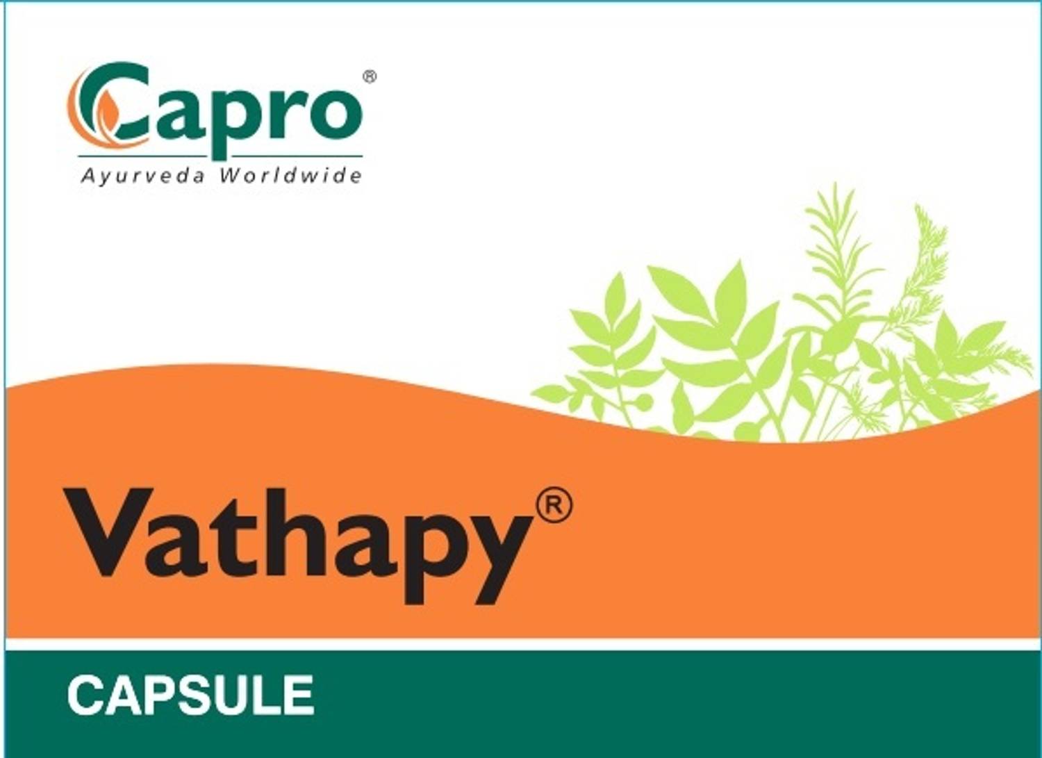 CAPRO VATHAPY CAPSULE, Benficial in partial and full Hemiplegia