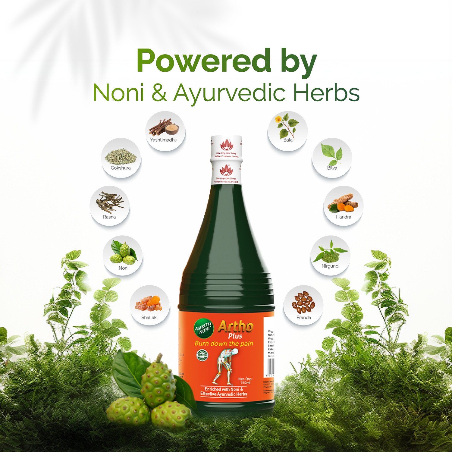 Image of AMRITH NONI Artho Plus 750ml liquid