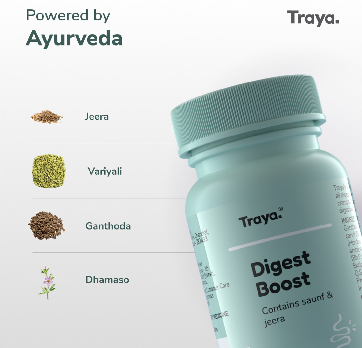 Image of Traya Digest Boost | Natural Digestive Supplement (60 tablets)