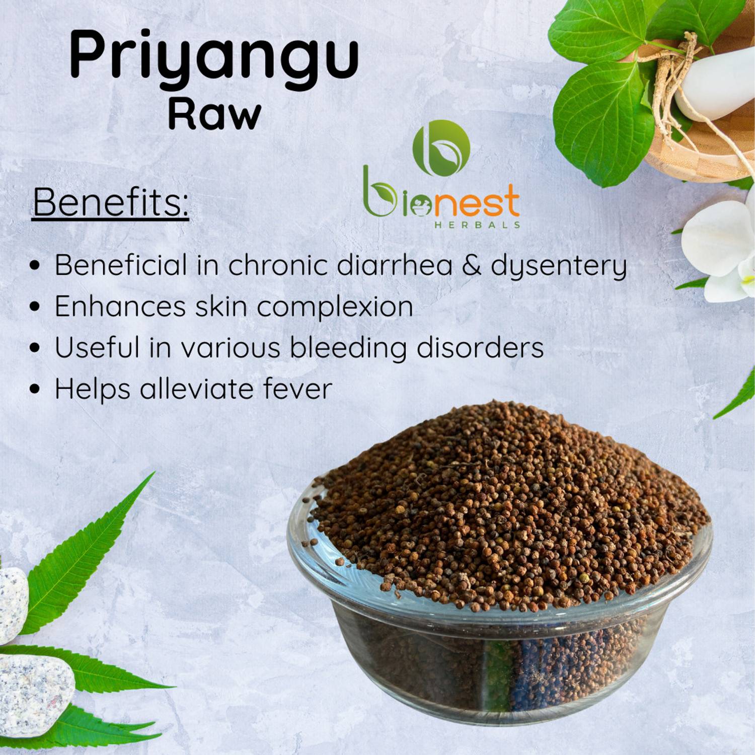 Bionest Herbals Priyangu beej(Raw) -250 g | For chronic diarrhea