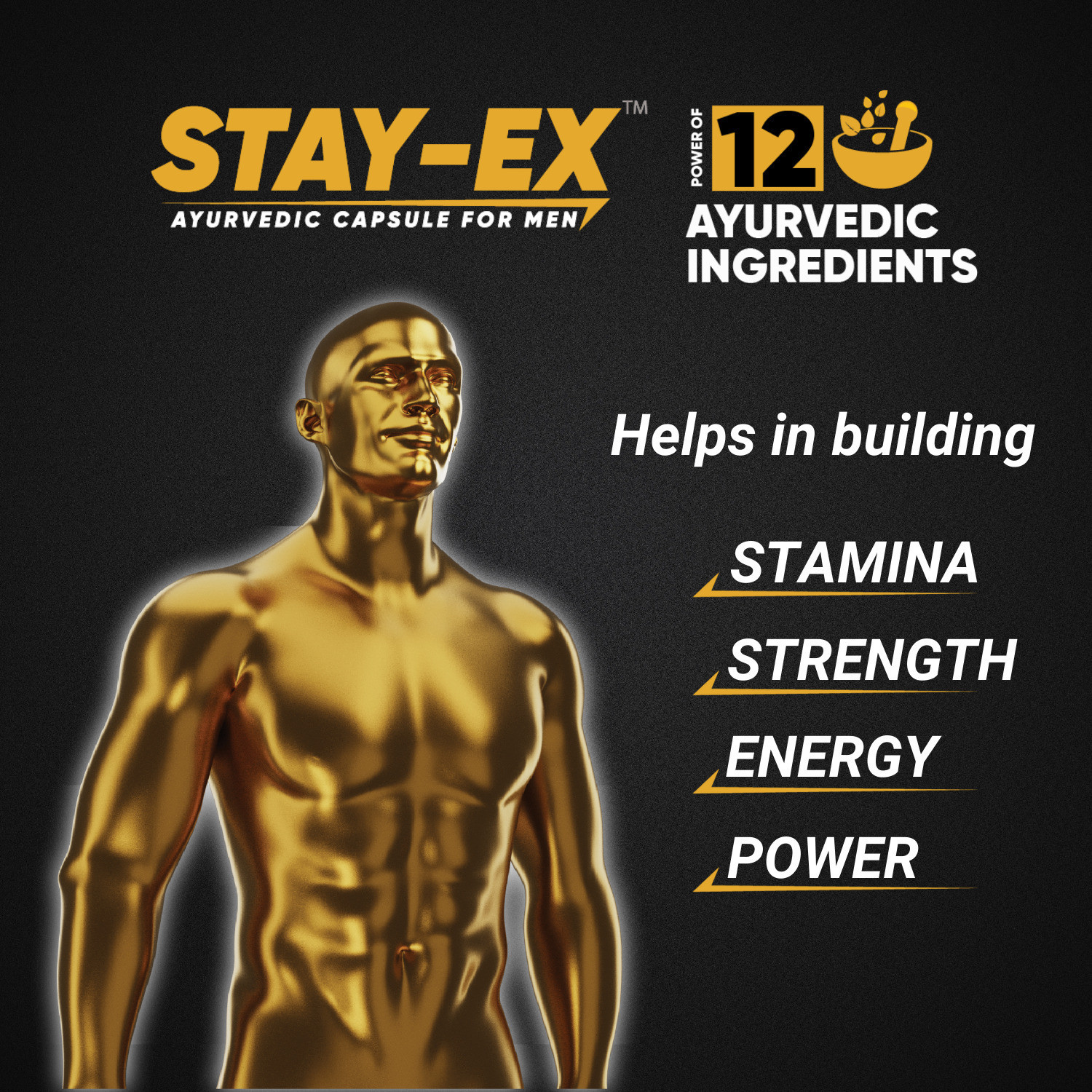 Image of Stay-EX Ayurvedic Capsules for Men | Power of 12 Ayurvedic Herbs for Stamina & Energy