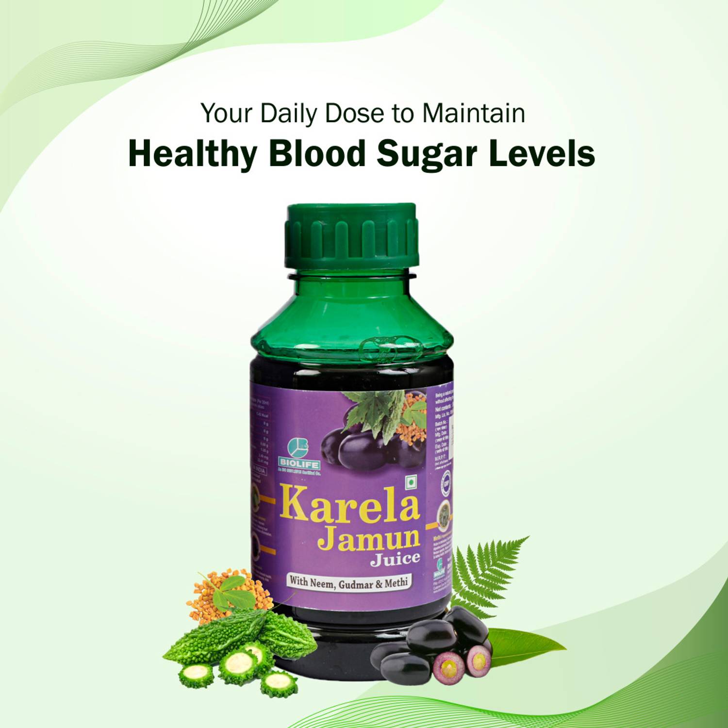 BIOLIFE Karela Jamun Juice | Diabetic Care & Blood Sugar Control