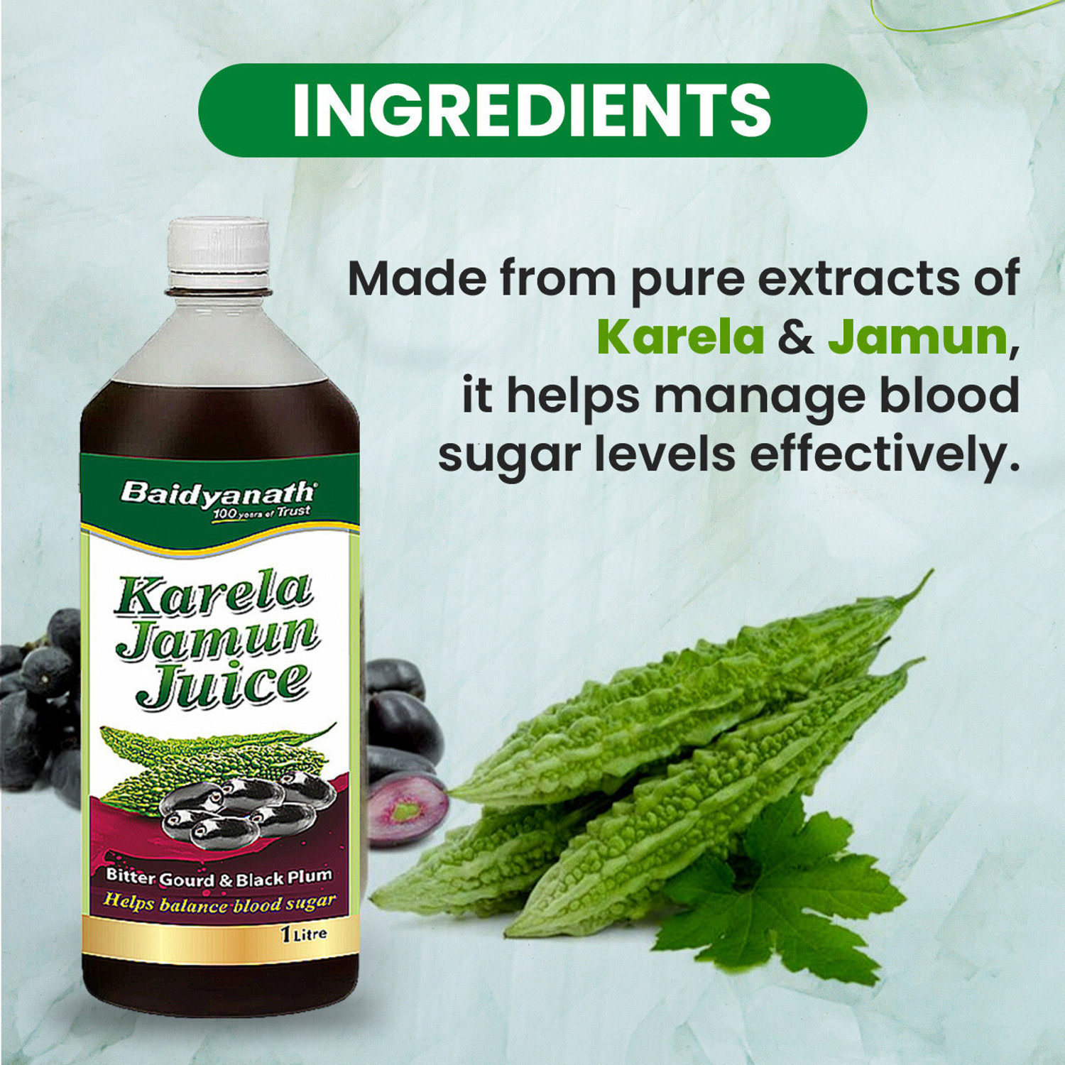 Image of Baidyanath Karela Jamun Juice 1L | Natural Remedy For Blood Sugar Management |Helps in Reducing the Bad Cholesterol Levels & Improves overall Health and Wellness