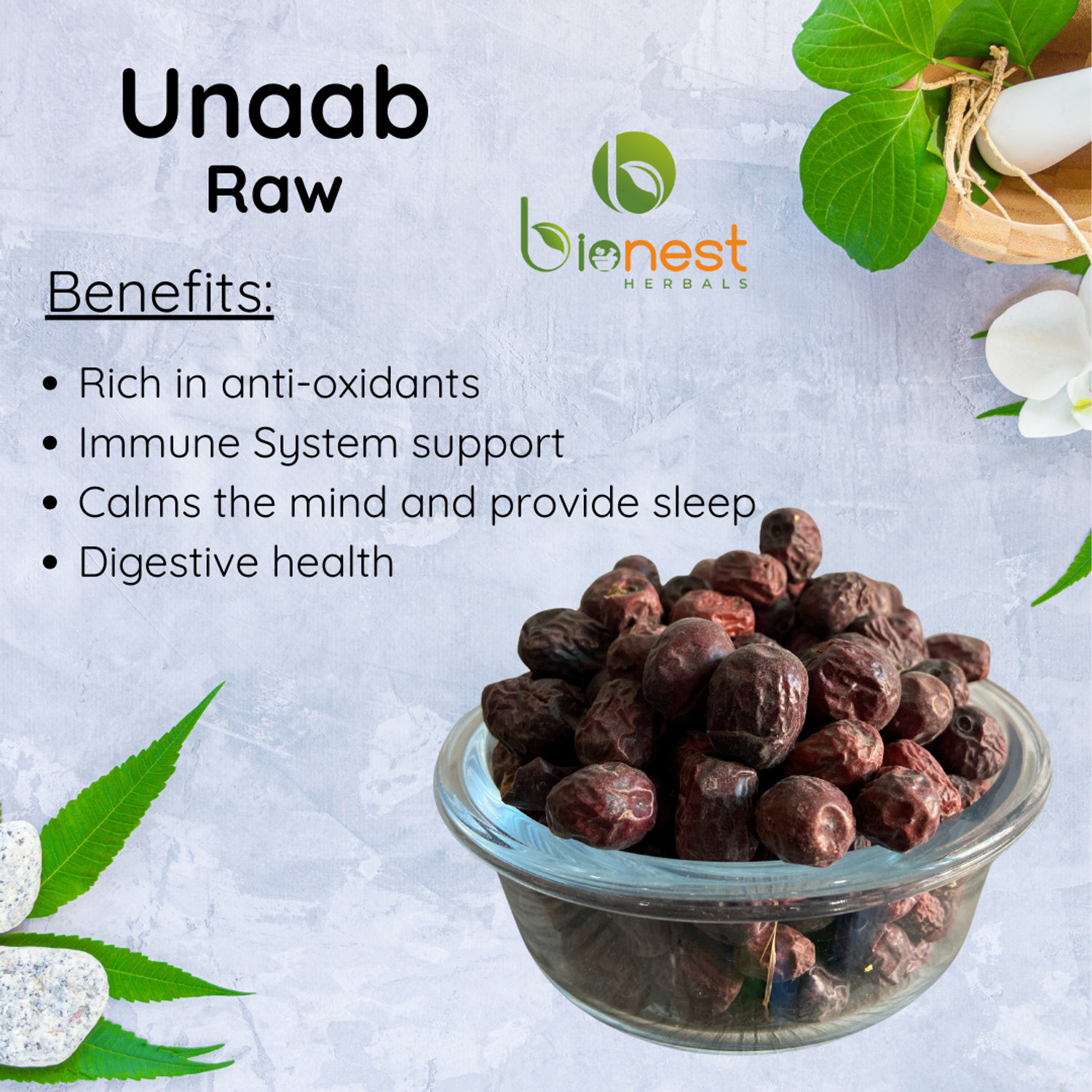 Image of Bionest Herbals Unaab (Raw) - 100 g | Jujube Fruit | Anti-oxidant, Immune support, calms mind