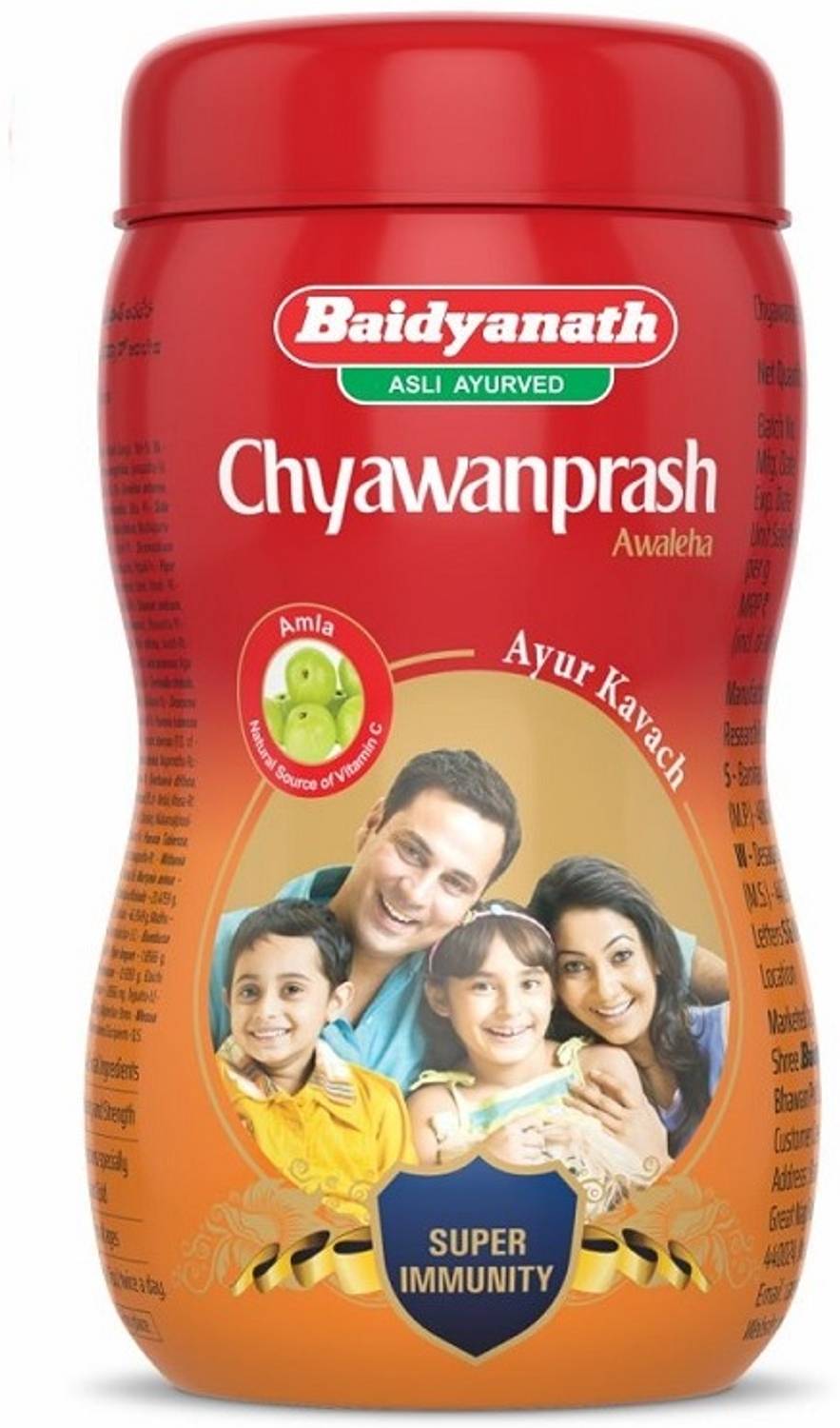 Baidyanath Chyawanprash 950g + Honey 250g - Image 2