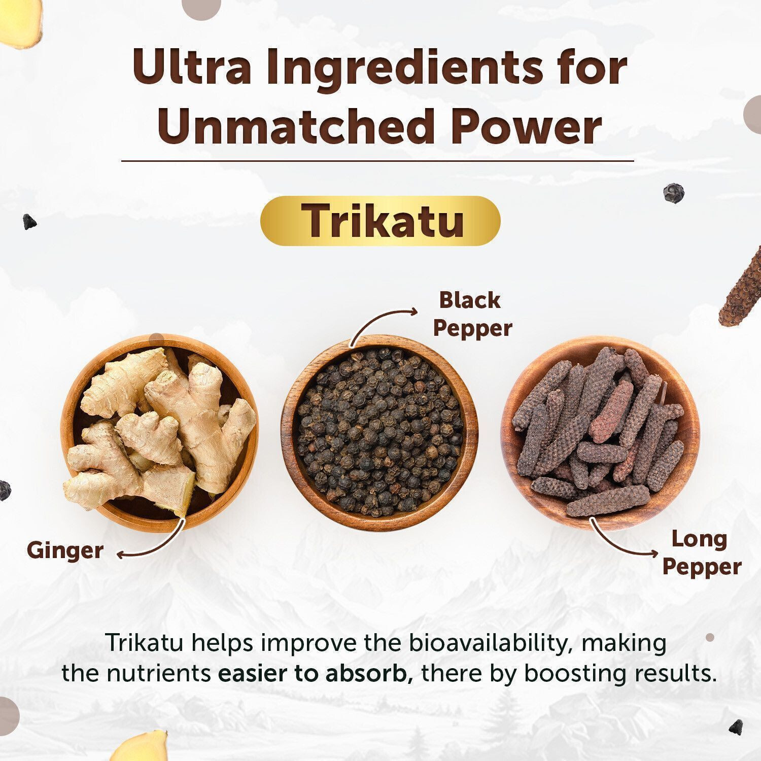 Image of Neuherbs Shilajit Gold Ultra Resin | Enrich With Swarn Bhasma & Trikatu | Boost Energy