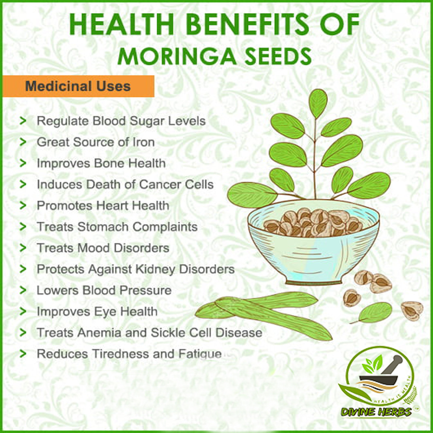 Image of DIVINE HERBS Natural & Organic Moringa Powder For Weight Loss, Health Care