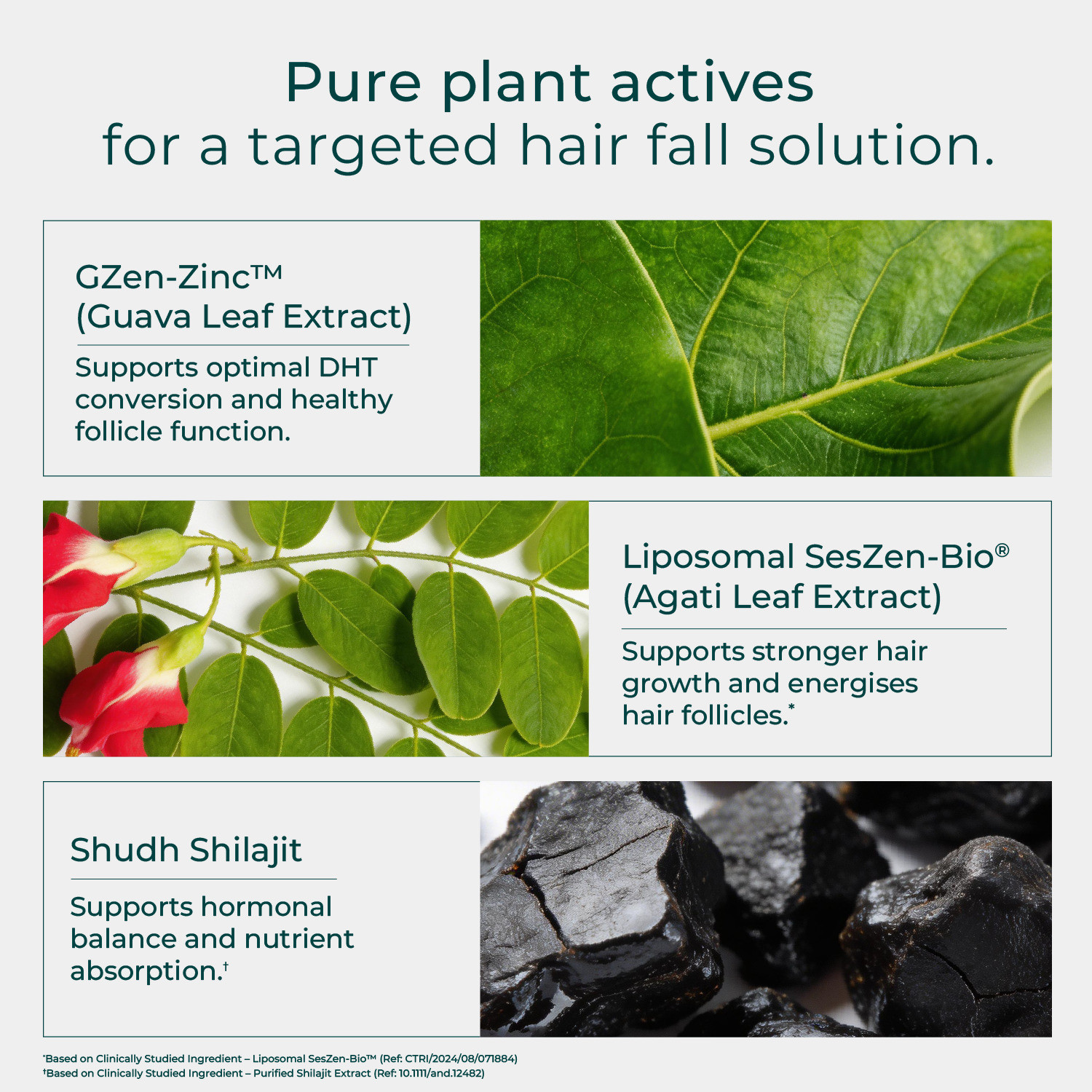 Image of OZiva Hair Actives + Shilajit for Men Hair Supplement with Liposomal SesZen-Bio