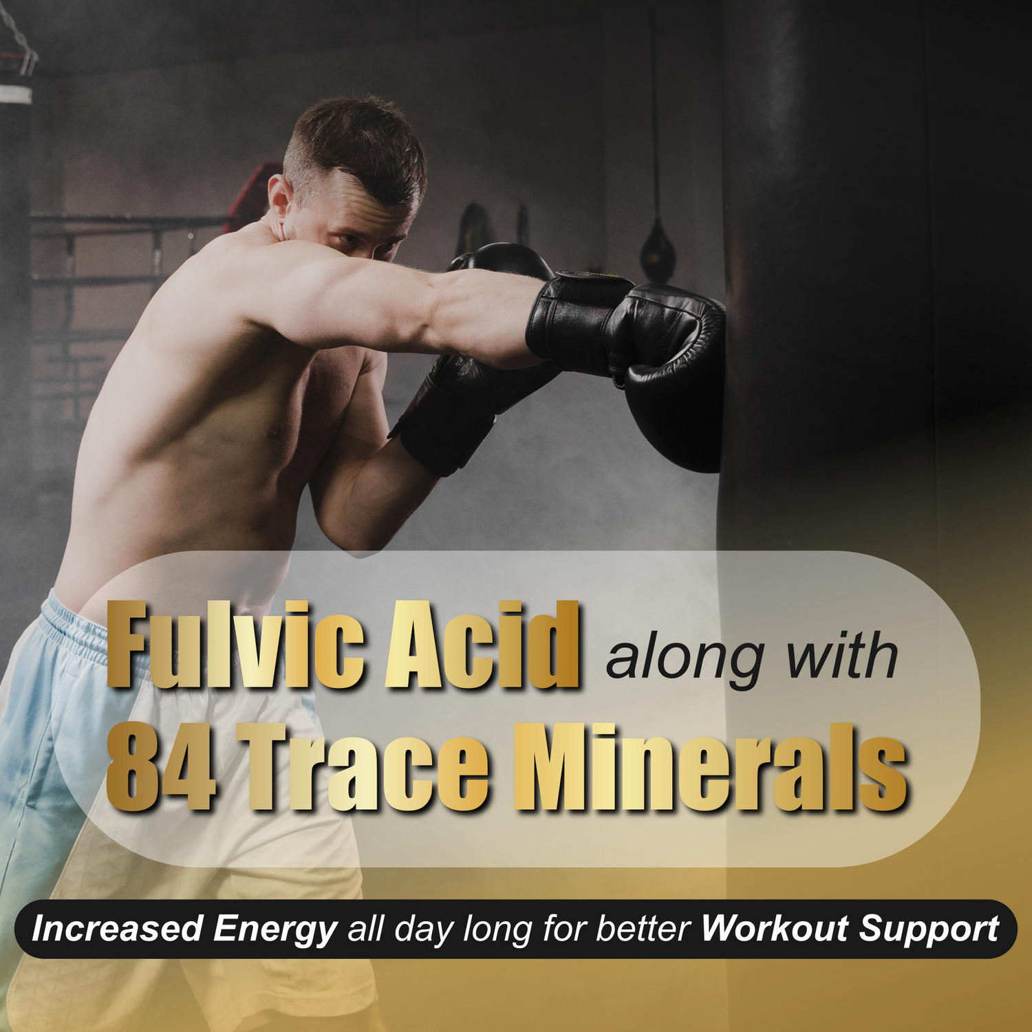 Image of End2End Nutrition Himalayan Shilajit with Ashwagandha & Gokhru | 16 Ayurvedic Herbs | Muscle Gain