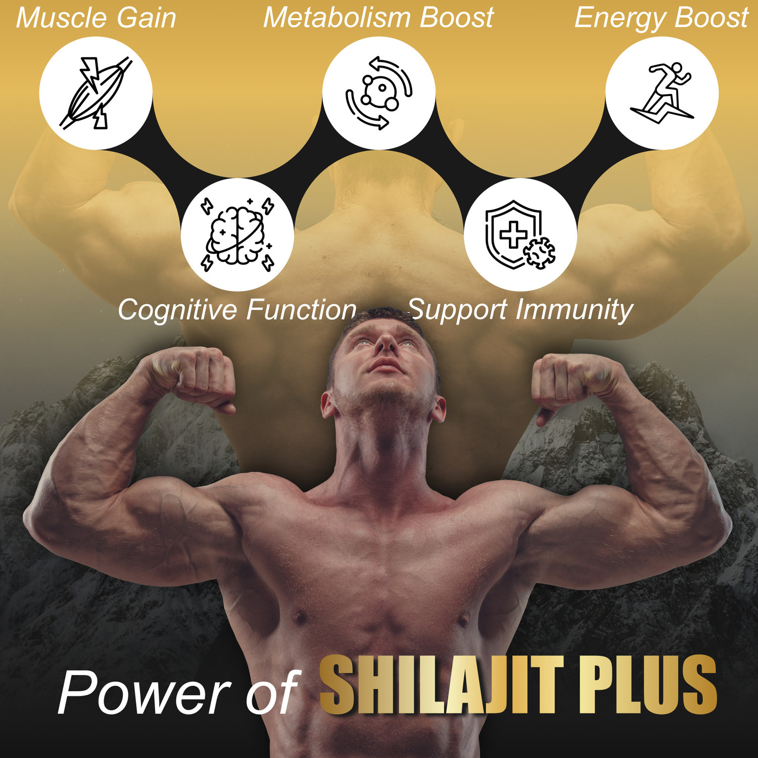 Image of End2End Nutrition Himalayan Shilajit with Ashwagandha & Gokhru | 16 Ayurvedic Herbs | Muscle Gain