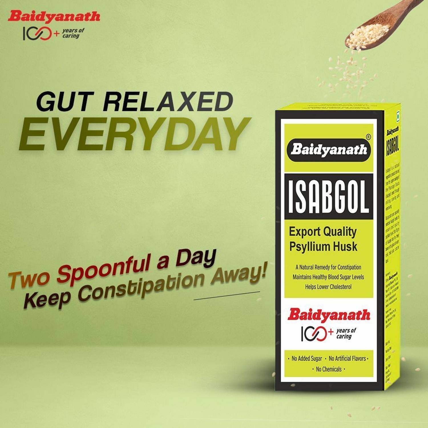 Baidyanath Isabgol Psyllium Husk 200g - Image 3