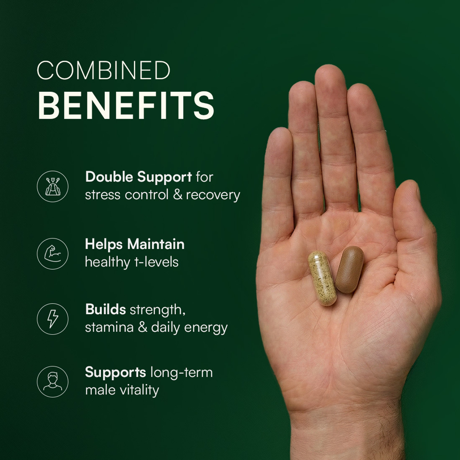 Image of Rasayanam Ashwagandha KSM-66 (500 mg) and Tribulas Gokhru-60 Gokshura Tablets 1000mg Combo