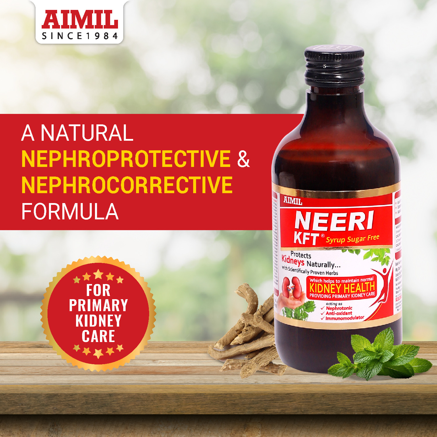 Image of AIMIL NEERI KFT Sugar Free Syrup for Kidney Health | Improves Kidney Function Naturally (Pack of 3)