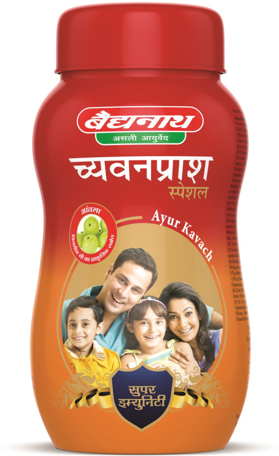 Image of Baidyanath Chyawanprash Special 250gm Pack of 2