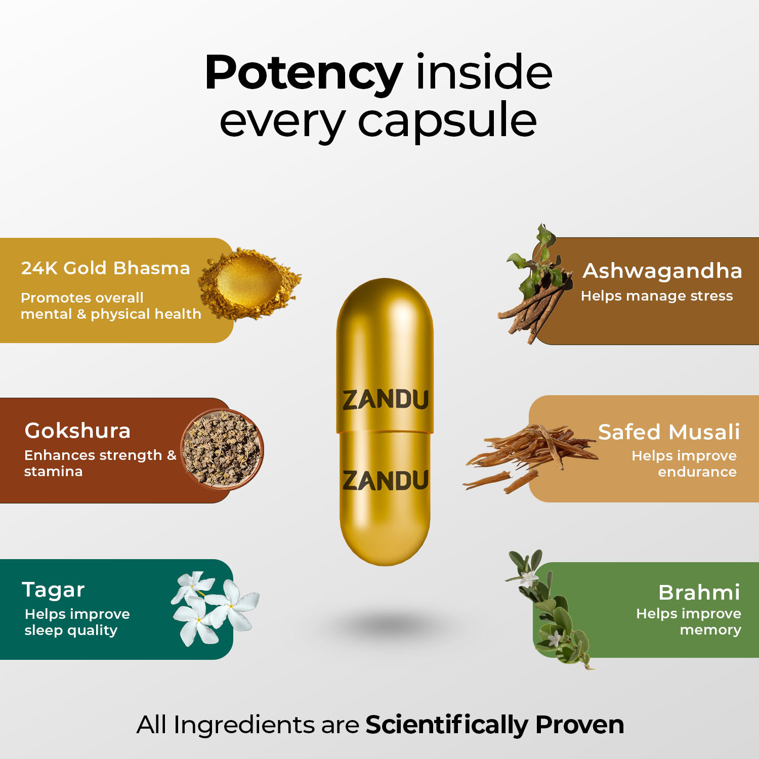 Image of ZANDU Ashwagandha Gold PlusIReduces Stress & Cortisol, Improves Sleep &Muscle Recovery