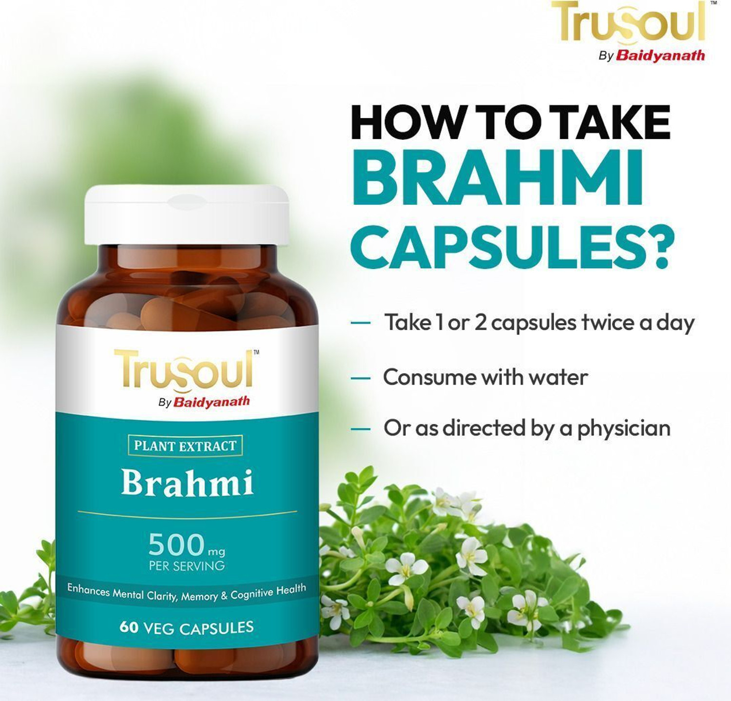 Image of Trusoul Brahmi Capsule - 500mg | Helps Enhance Mental Clarity, Memory & Cognitive Health