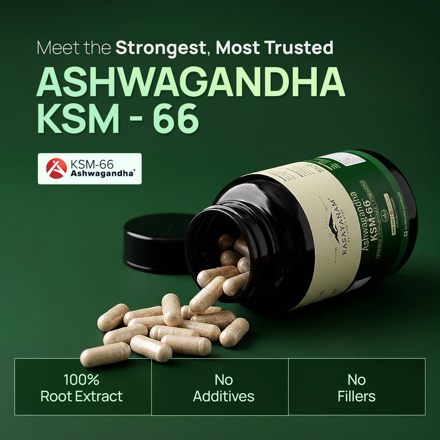 Rasayanam Ashwagandha KSM-66 - Image 2