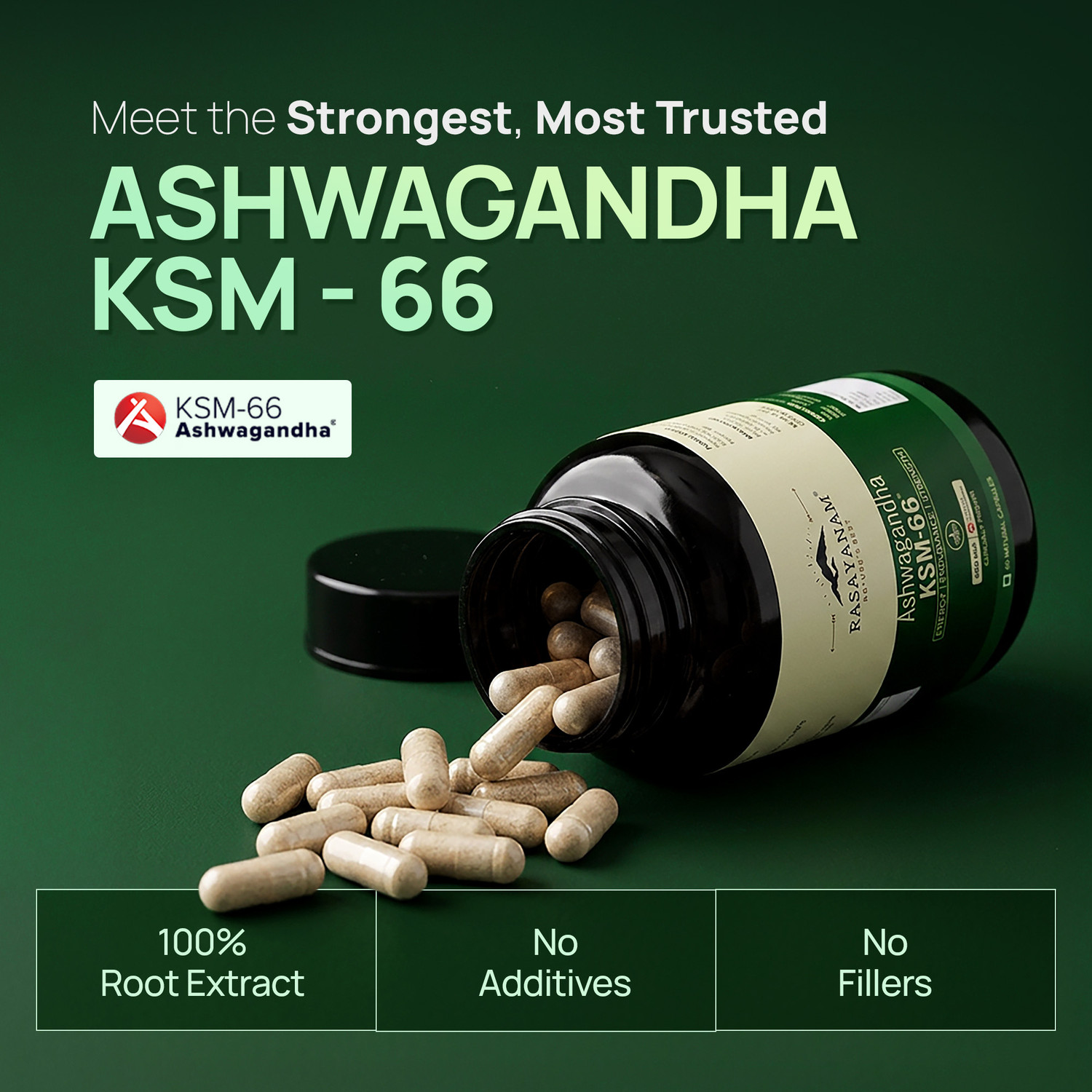 Image of Rasayanam Ashwagandha KSM-66 (600 mg) |Support Strength & Energy | Stress Relief