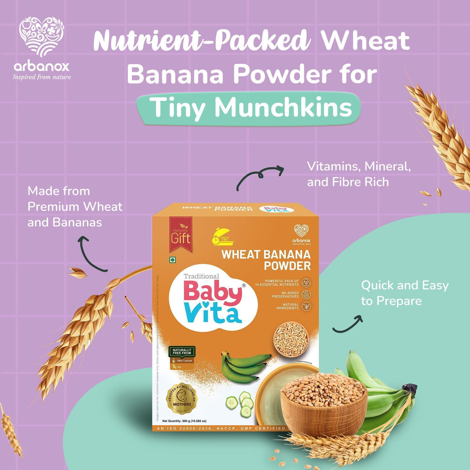 Image of Babyvita Wheat Banana Powder Mix|Wheat|Dehydrated Nendran Banana Cereal