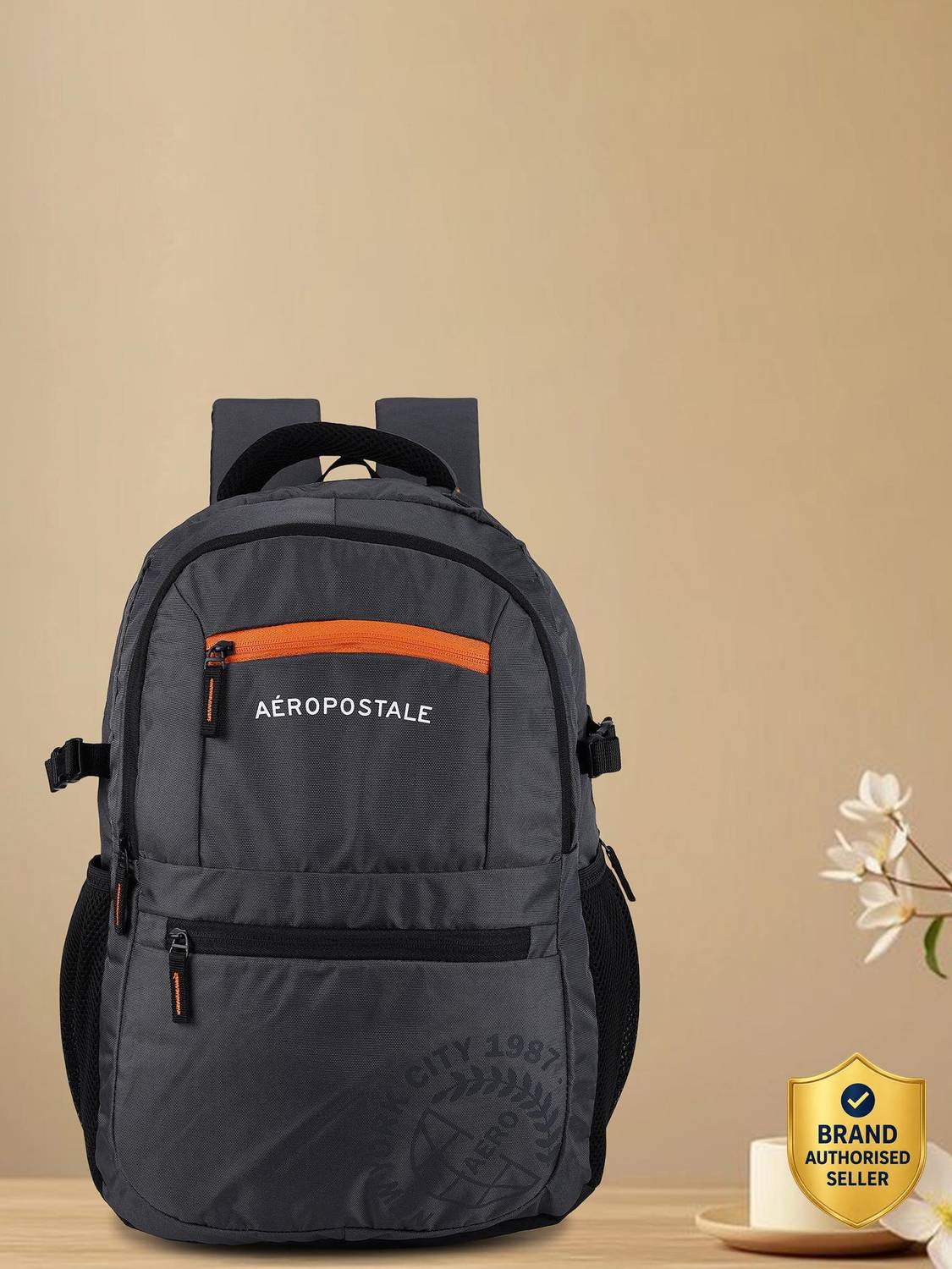 AEROPOSTALE BASIN 20 L Laptop Backpack
