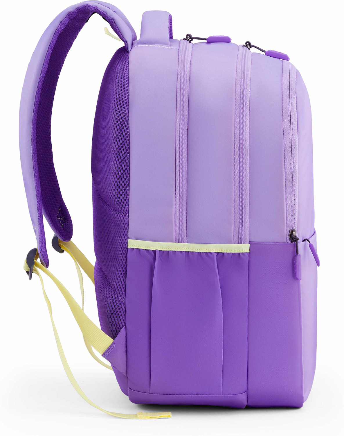 Image of AMERICAN TOURISTER LIT 36 L Backpack