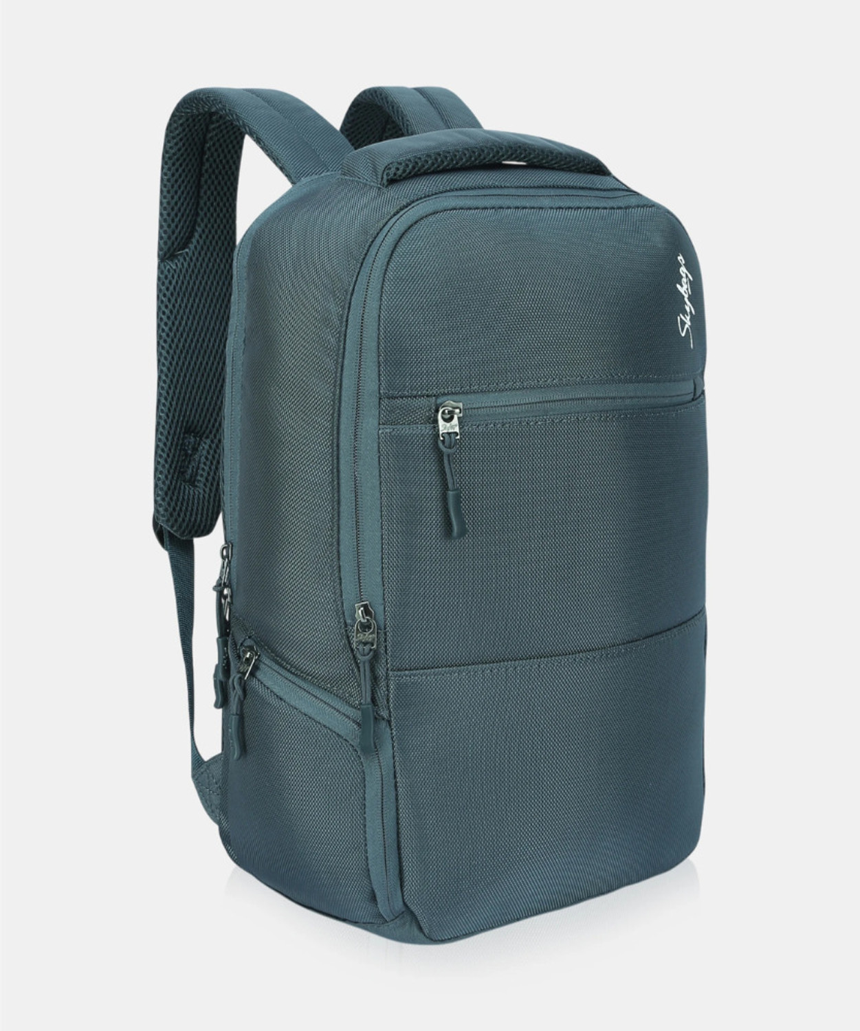 Image of SKYBAGS Biz (E) 17 L Laptop Backpack