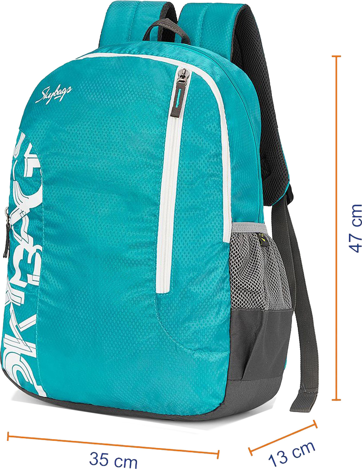 Image of SKYBAGS BRAT 21.65 L Backpack