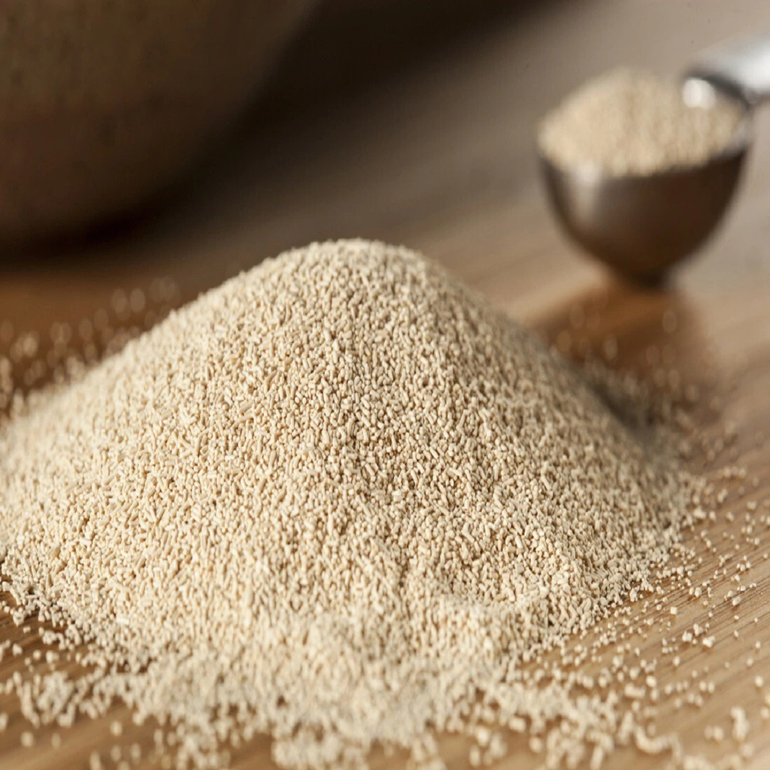 Image of Bake King Instant Dry Yeast Powder 100gm for Pizza Base & Baking Yeast Powder