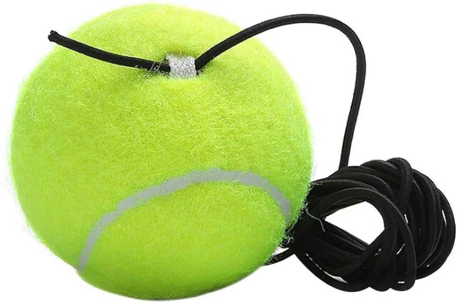 ASHAKA hanging ball Cricket Training Ball