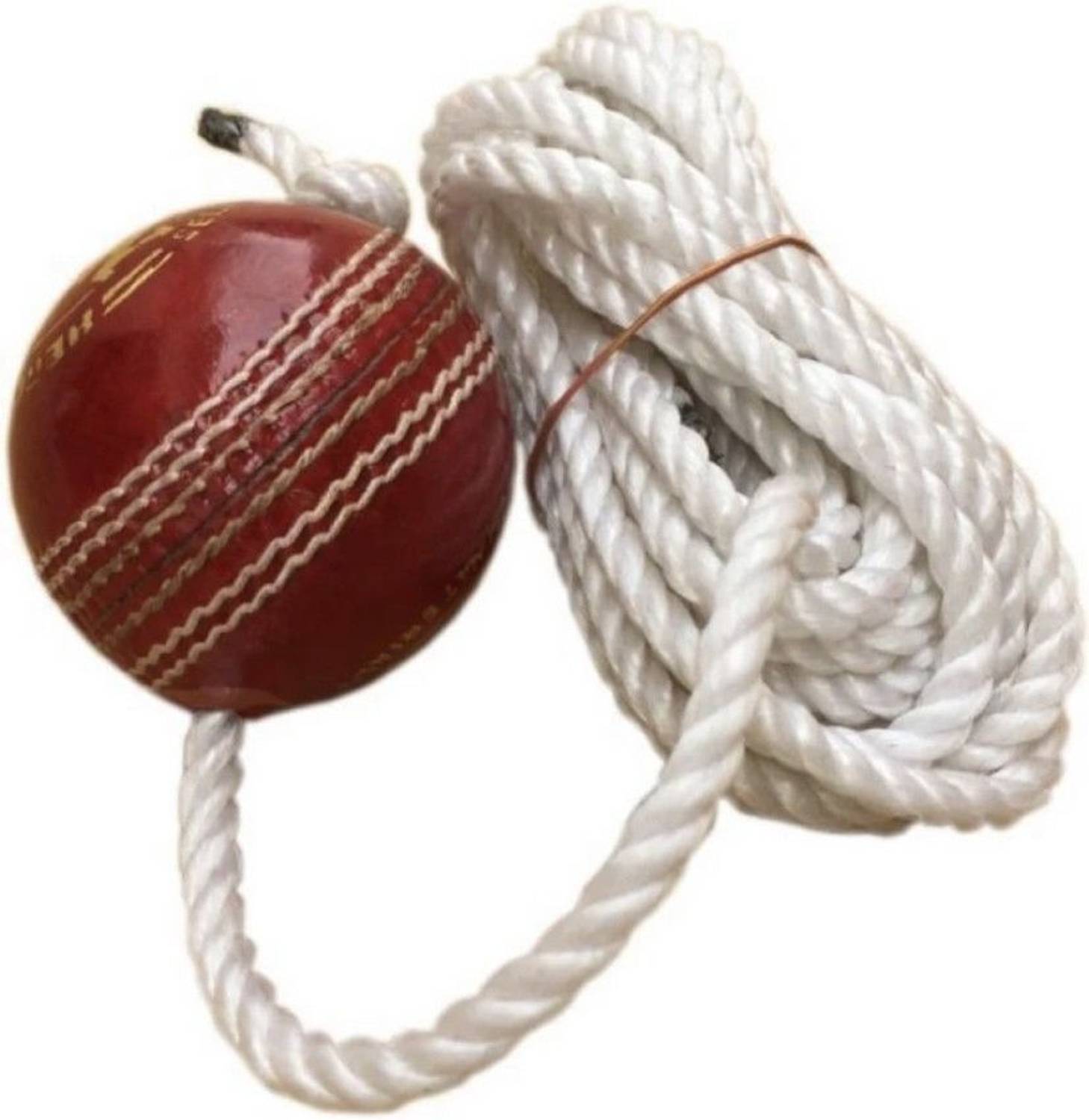 The Bhavya Sports Hanging Cricket Training Ball