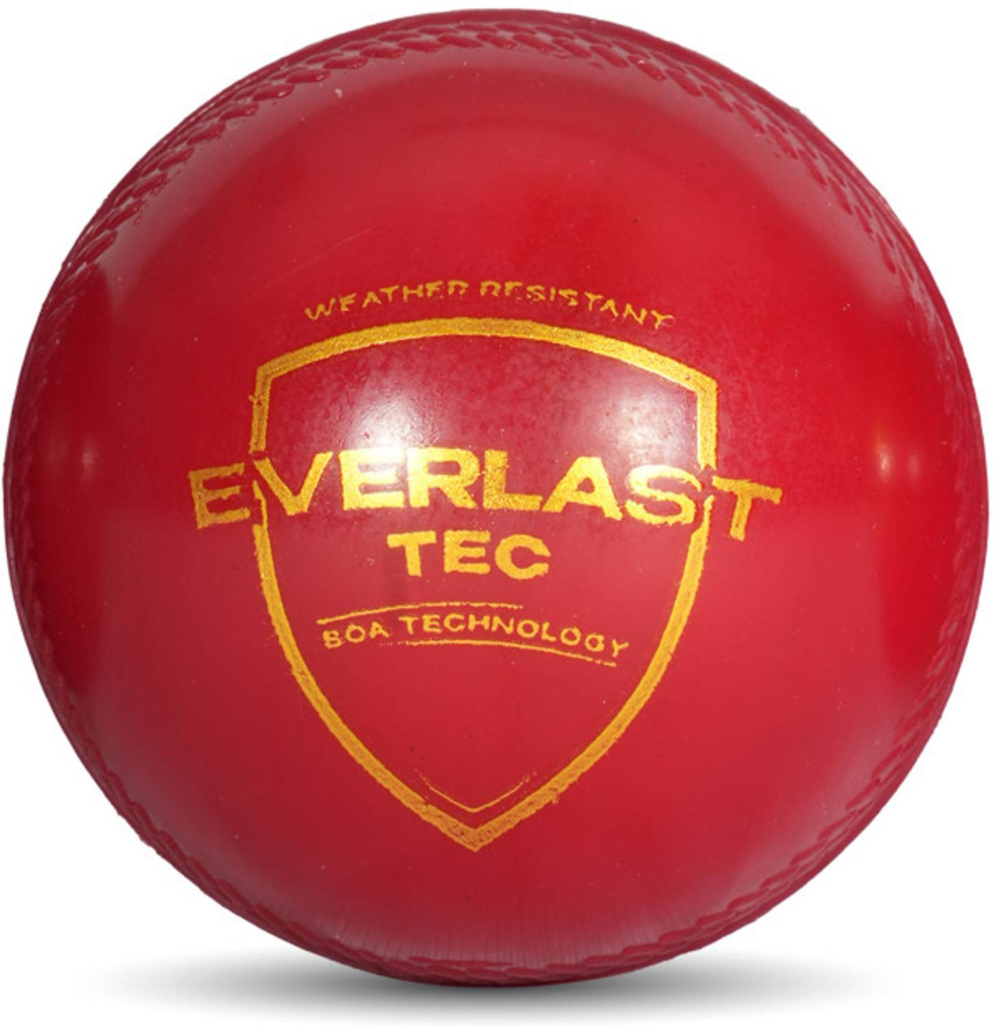 SG Everlast Tec Cricket Synthetic Ball - Standard Size - Image 2
