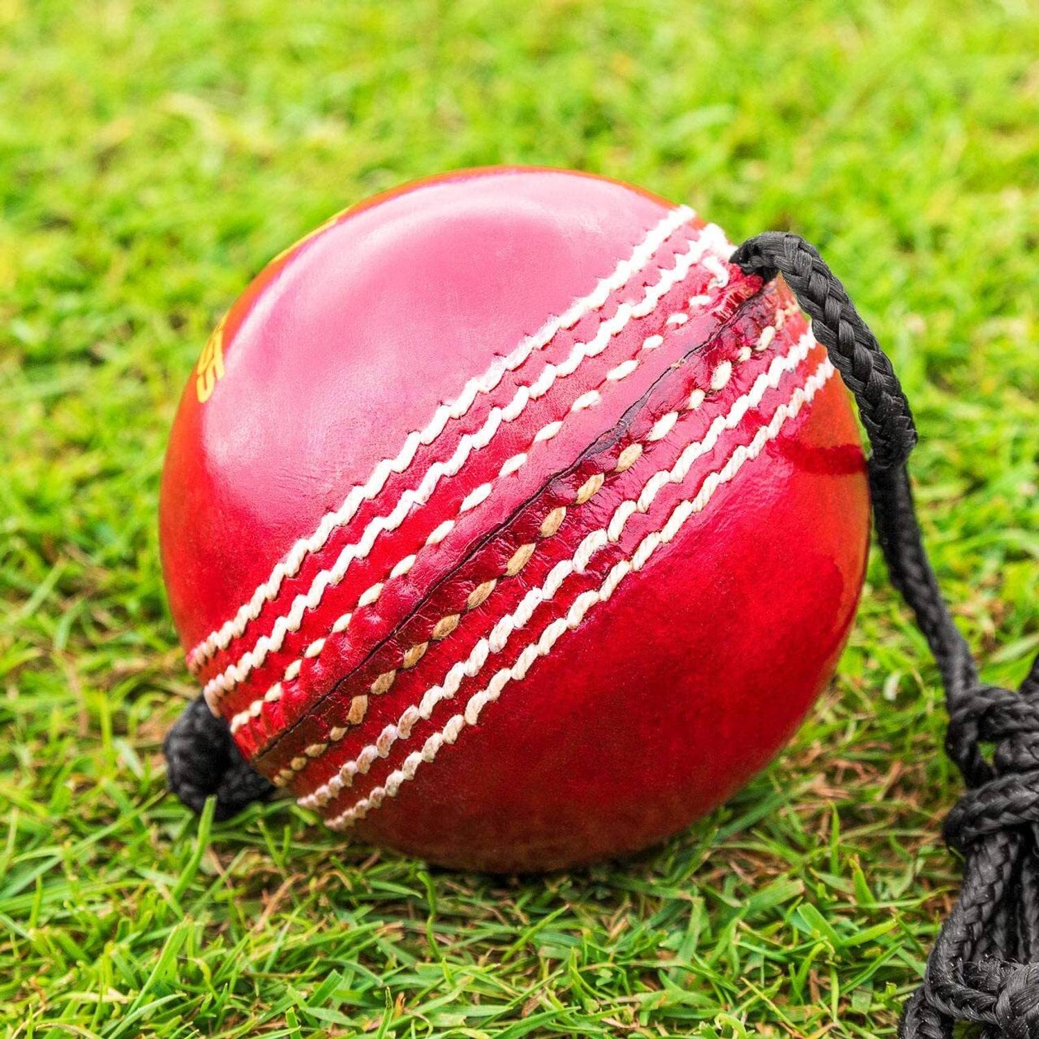 RB SPORTS Red Hanging RB P1 Cricket Leather Ball - Buy RB SPORTS
