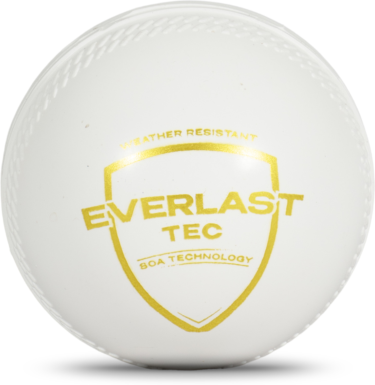 Image of SG Everlast Tec Cricket Synthetic Ball