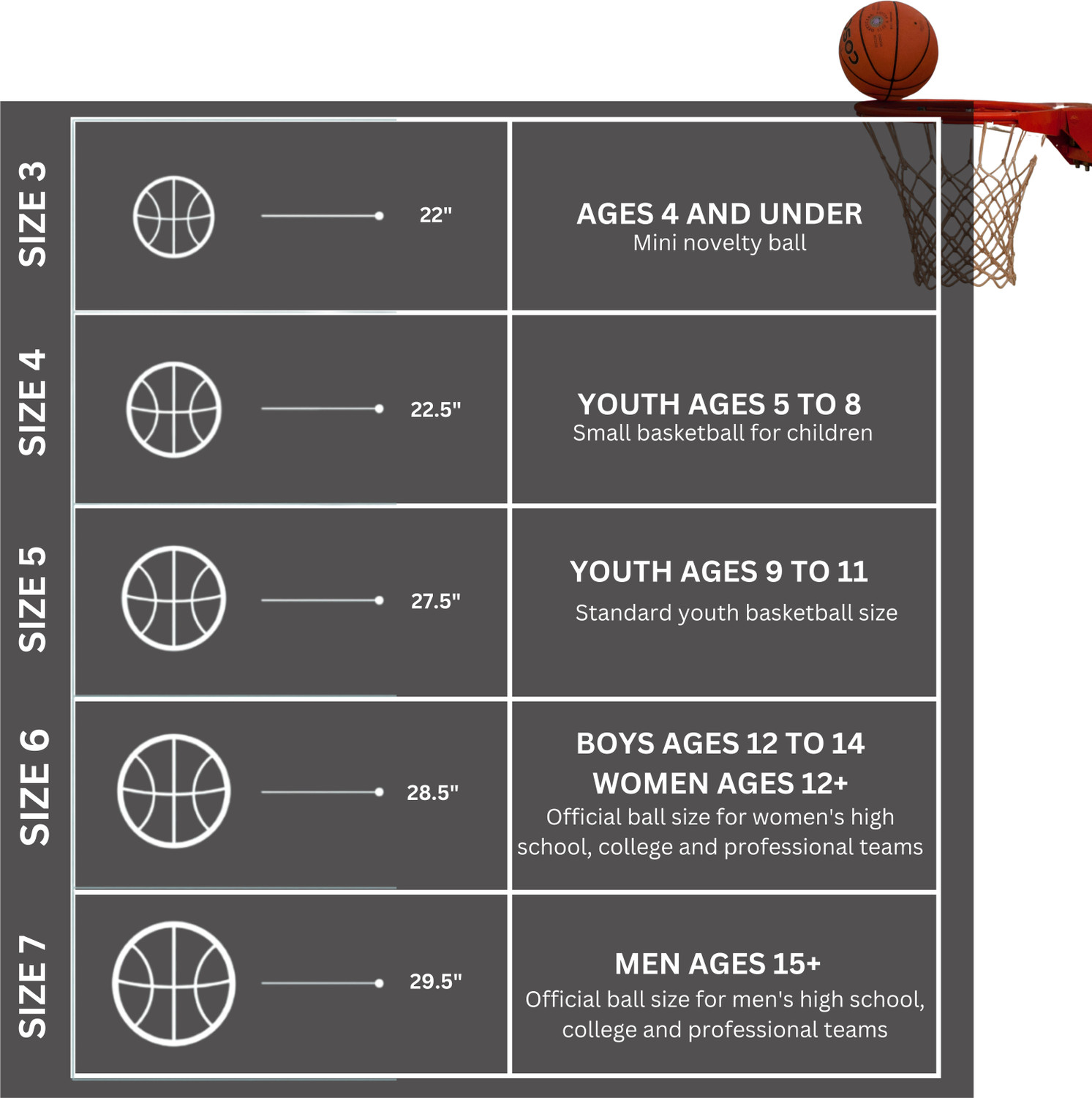 Image of NIVIA WARRIOR(12 PANEL) Basketball - Size: 7