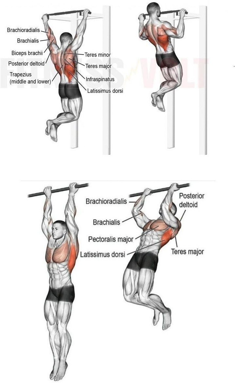 Image of Allyson Fitness NEW-Pull up Bar Home Gym Solid Fitness Gym Accessories Pull-up Bar