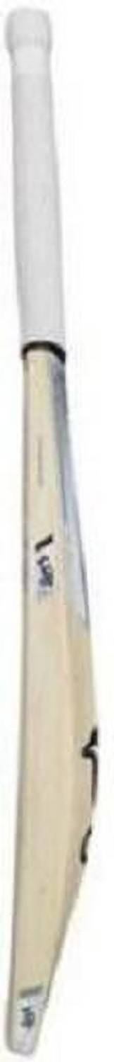 V Sports KOOKABURRA Ghost Cricket Bat 15+ Yrs - Image 2