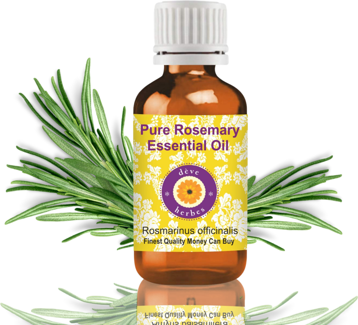 Image of deve herbes Pure Rosemary Essential Oil (Rosmarinus officinalis) 100% Natural Therapeutic Gr