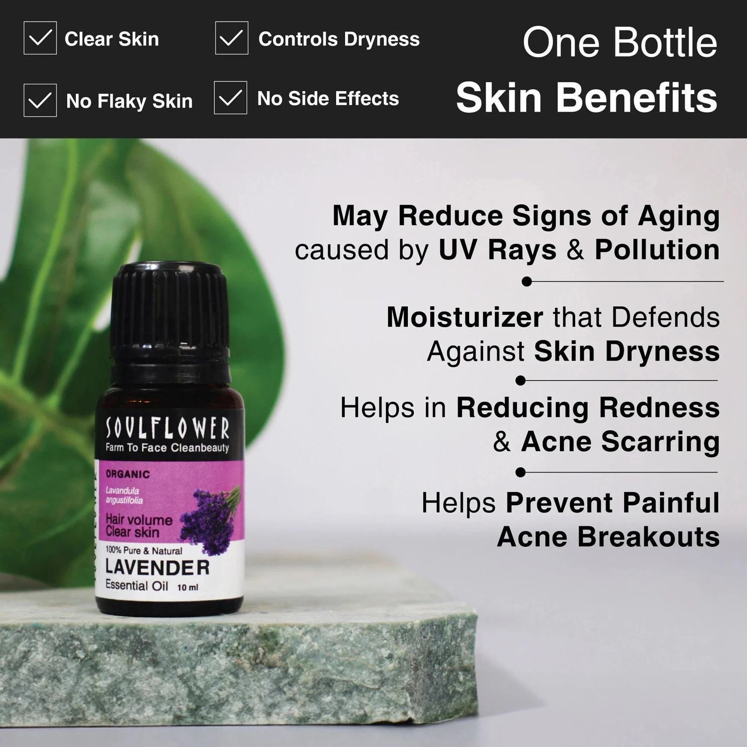 Image of Soulflower Lavender Essential Oil | For Hair Growth, Skin Care, Stress Relief | 100% Pure |