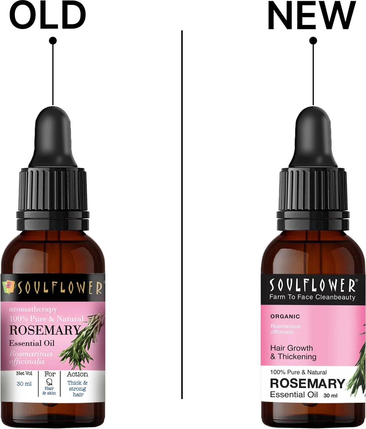 Soulflower Rosemary Essential Oil 30ml - Image 5