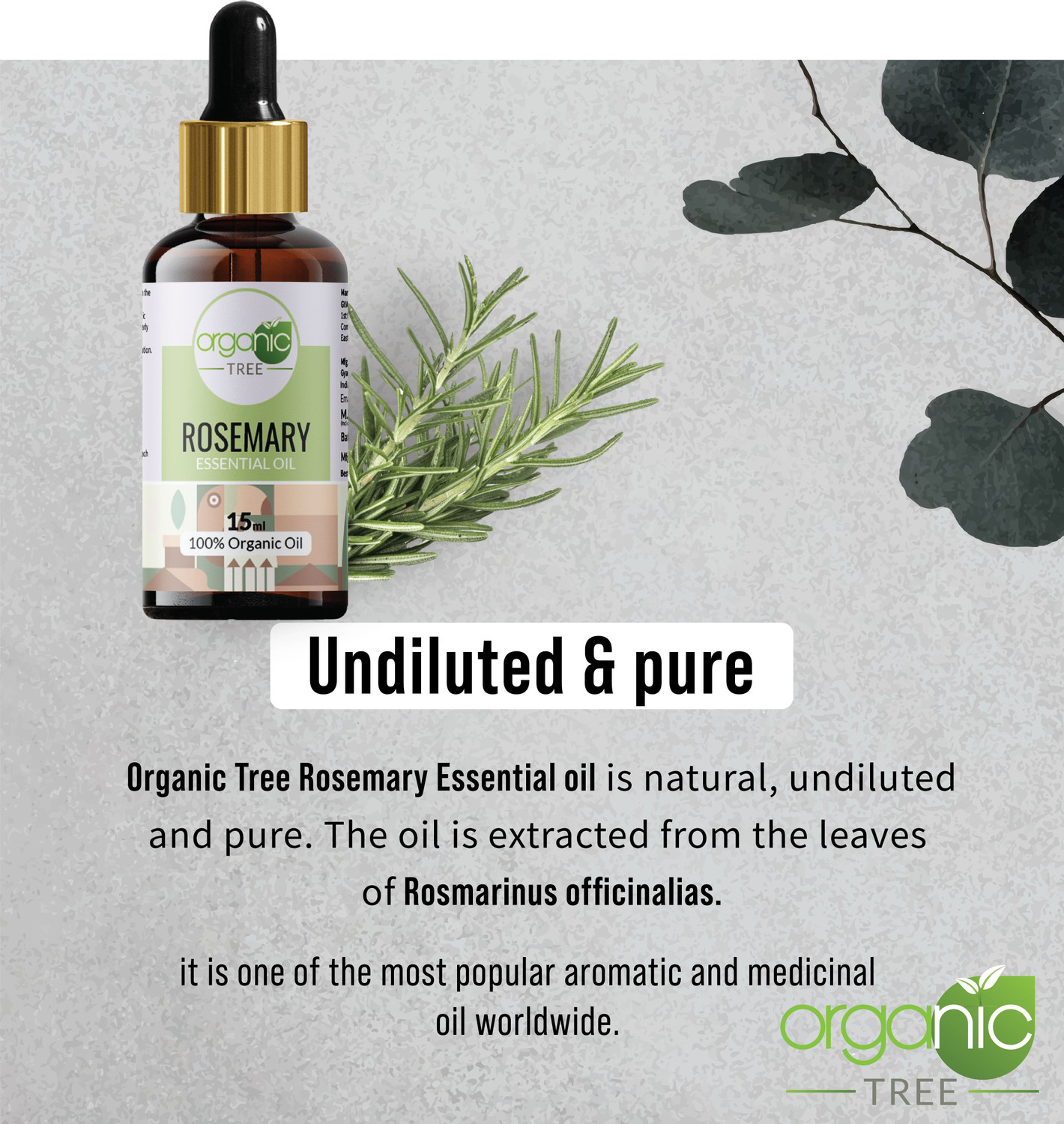 Image of ORGANIC TREE Rosemary Essential Oil For Hair Growth, Skin Care of all type of skin |100% Pure (15 ml)
