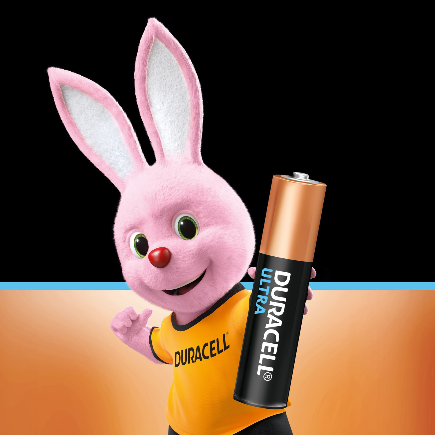 Image of DURACELL Ultra Alkaline AAA Battery